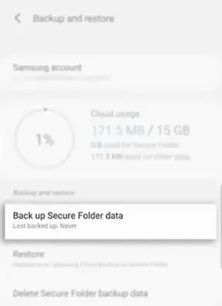 backup secure folder1